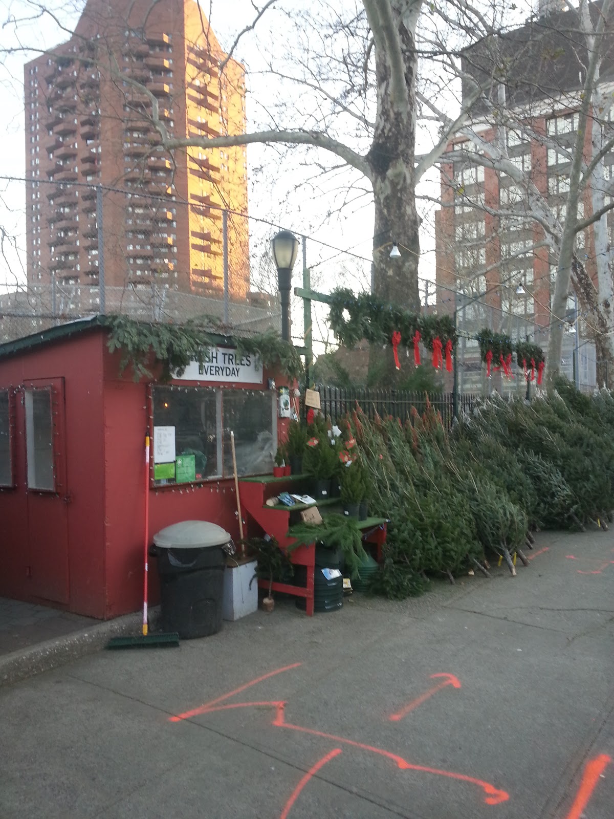 Photo of Gbf Christmas trees in New York City, New York, United States - 1 Picture of Point of interest, Establishment, Store