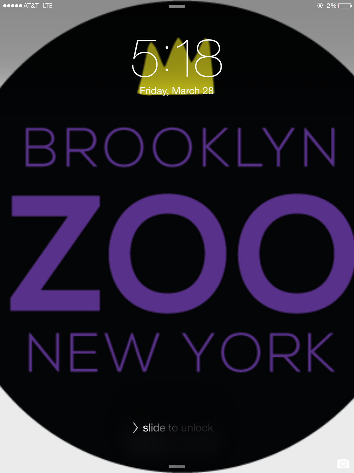 Photo of Brooklyn Zoo NY in Kings County City, New York, United States - 4 Picture of Point of interest, Establishment, Health, Gym