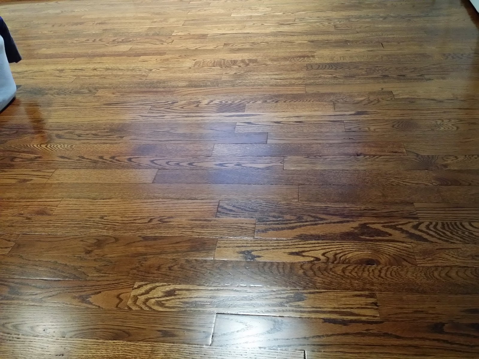 Photo of American German Floor Scraping in Queens City, New York, United States - 5 Picture of Point of interest, Establishment, General contractor