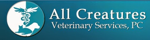 Photo of All Creatures Veterinary Services in Long Beach City, New York, United States - 5 Picture of Point of interest, Establishment, Veterinary care