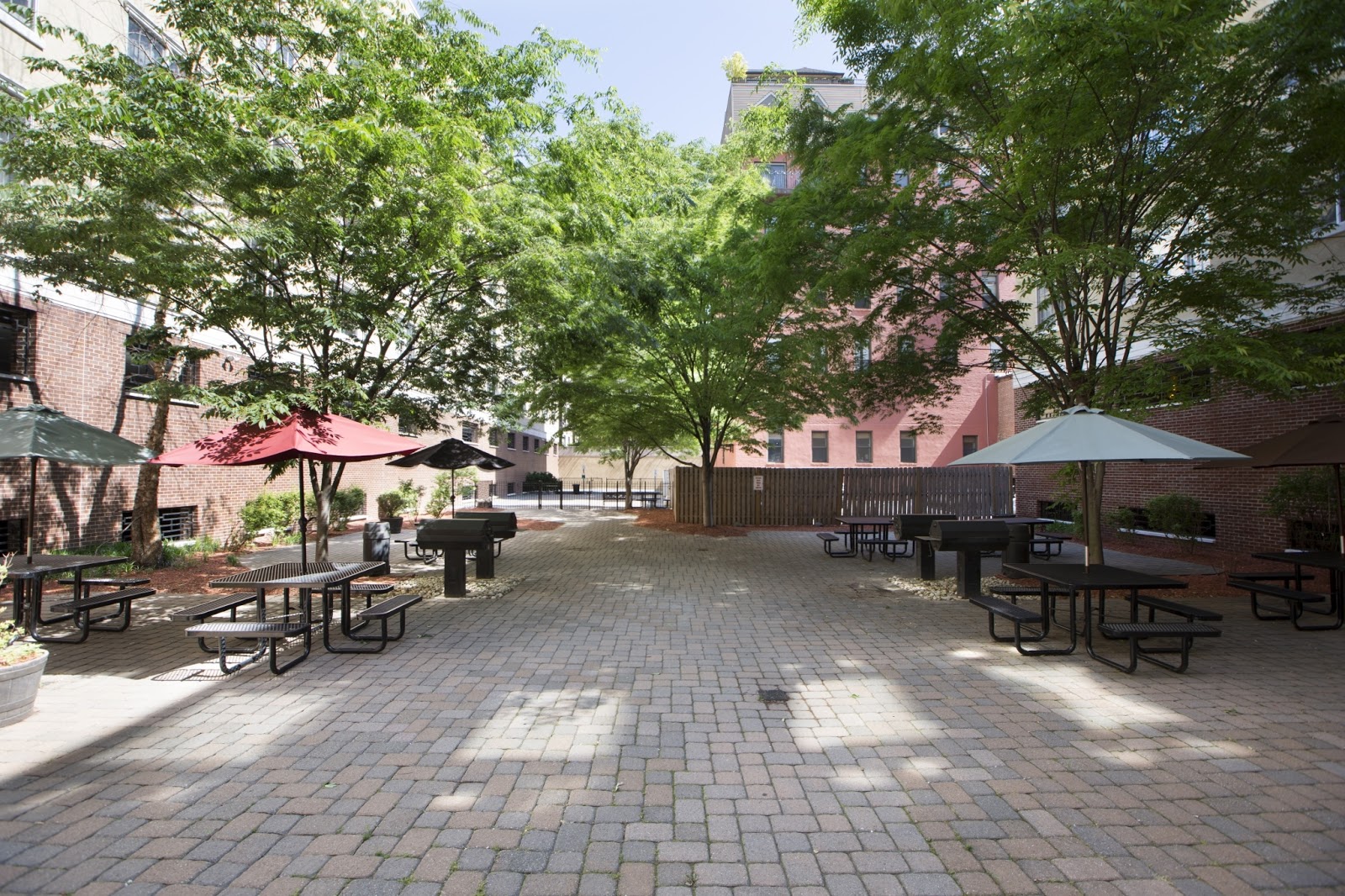 Photo of Courtyard At Jefferson in Hoboken City, New Jersey, United States - 4 Picture of Point of interest, Establishment, Real estate agency