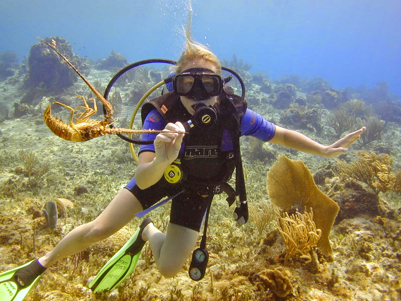 Kalkan Diving