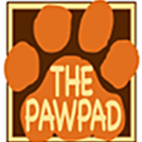 Photo of The Paw Pad Dog Training & Dog Day Care in Union City, New Jersey, United States - 1 Picture of Point of interest, Establishment