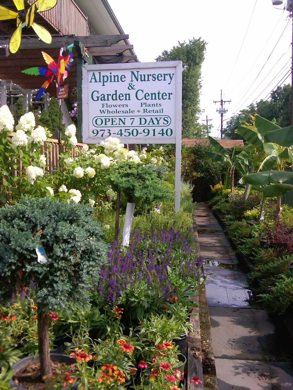 Photo of Alpine Nursery & Garden Center in Belleville City, New Jersey, United States - 1 Picture of Food, Point of interest, Establishment, Store