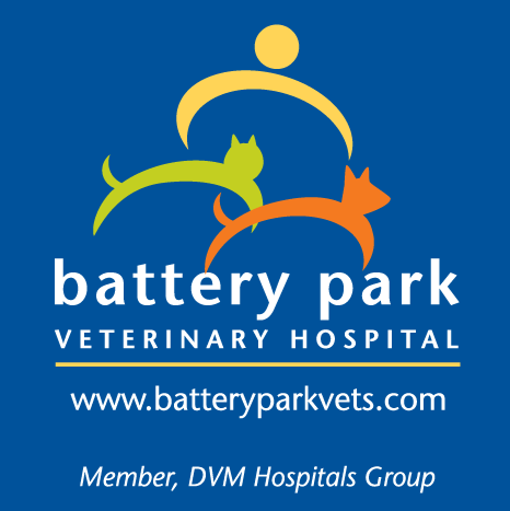 Photo of Battery Park Veterinary Hospital in New York City, New York, United States - 5 Picture of Point of interest, Establishment, Health, Dentist, Veterinary care