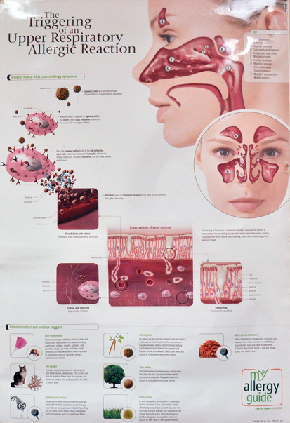 Photo of Allergy and Immunology on Madison in New York City, New York, United States - 2 Picture of Point of interest, Establishment, Health, Doctor