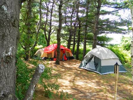 Photo of Goldenrod & Tamarack Campgrounds in Brooklyn City, New York, United States - 1 Picture of Point of interest, Establishment, Lodging, Park, Campground