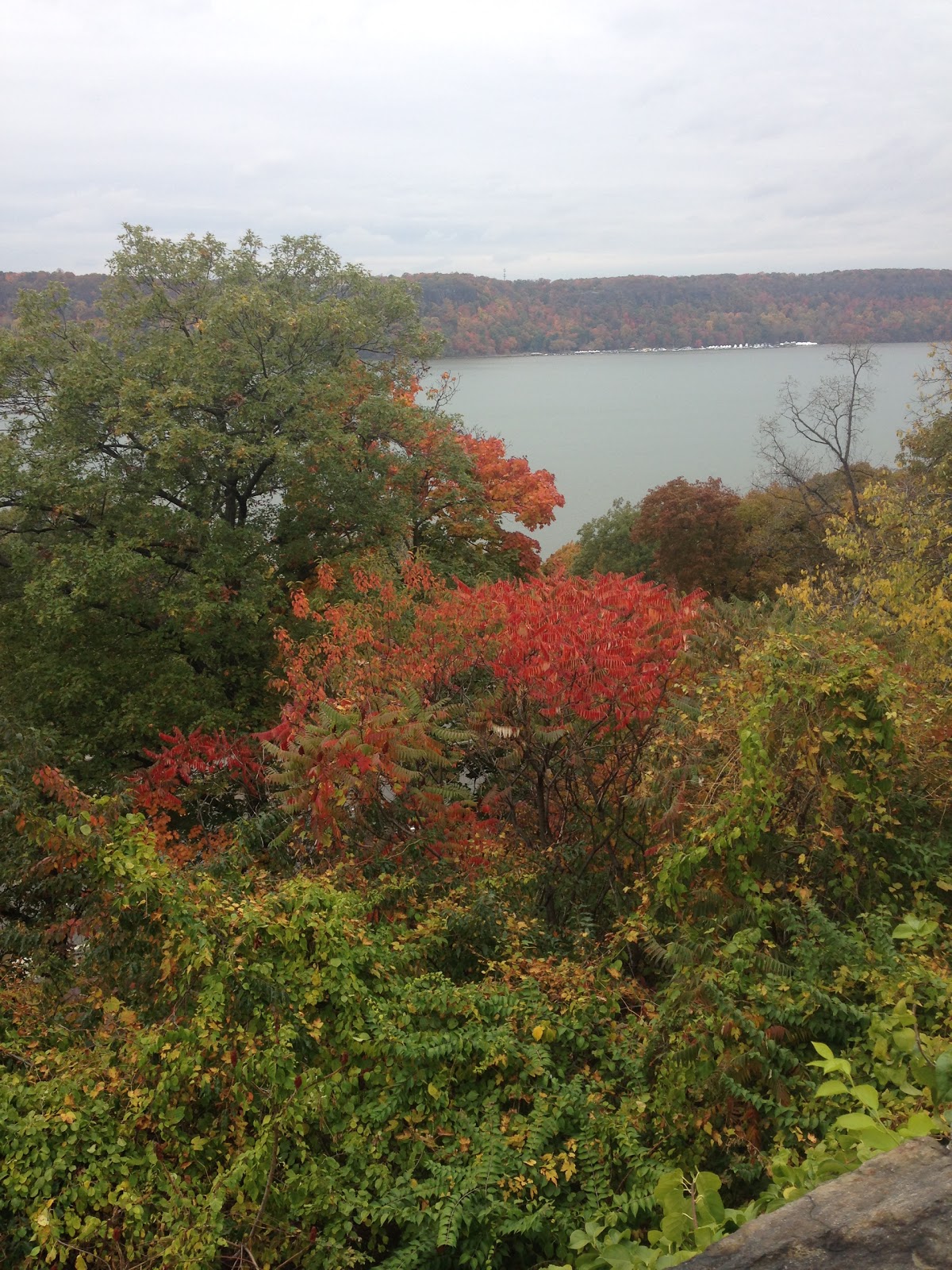 Photo of Inwood Hill Park in New York City, New York, United States - 9 Picture of Point of interest, Establishment, Park