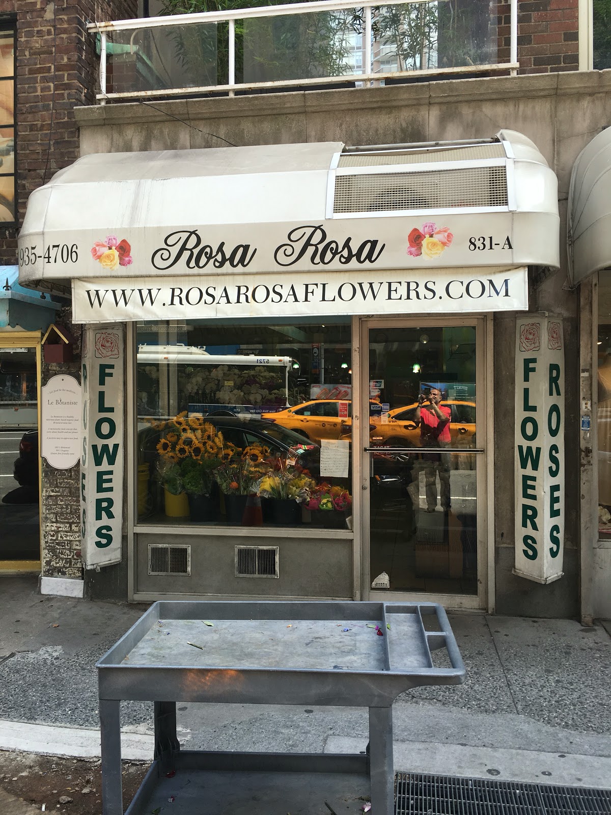 Photo of Rosa Rosa Flowers in New York City, New York, United States - 3 Picture of Point of interest, Establishment, Store, Home goods store, Florist