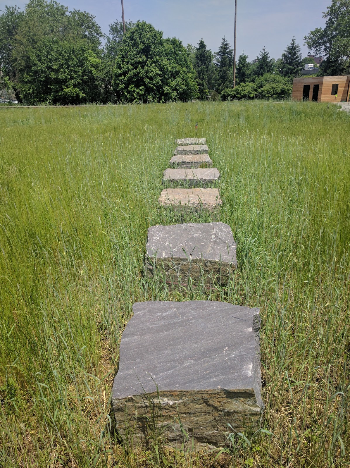 Photo of Naval Cemetery Park in New York City, New York, United States - 5 Picture of Point of interest, Establishment, Park