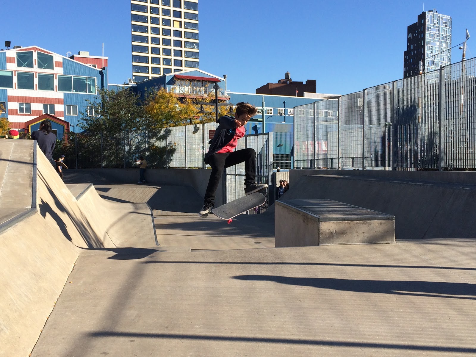 Photo of Pier 62 Skatepark in New York City, New York, United States - 3 Picture of Point of interest, Establishment