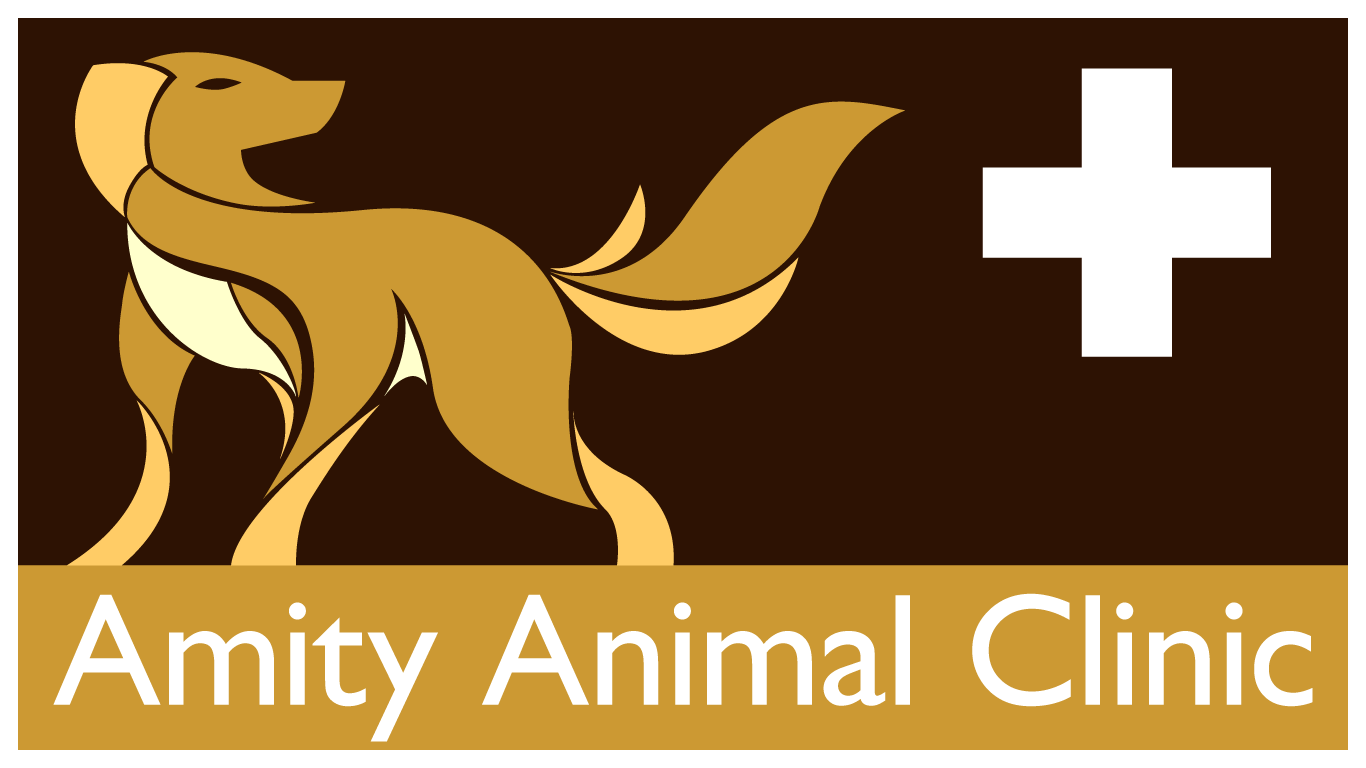 Photo of Amity Animal Clinic in Belleville City, New Jersey, United States - 2 Picture of Point of interest, Establishment, Veterinary care