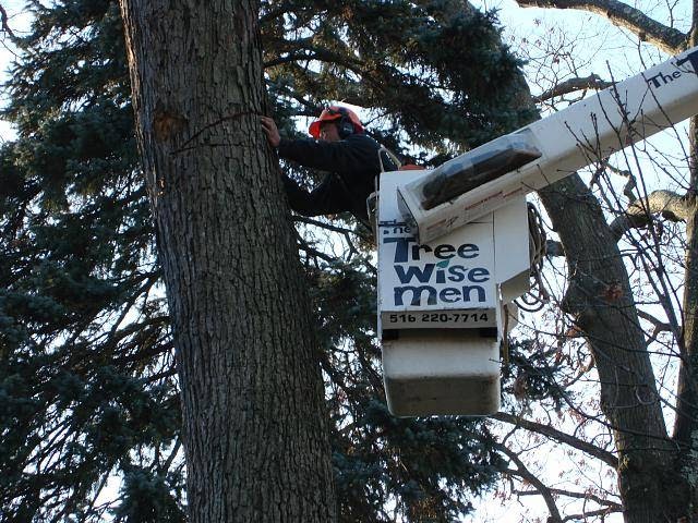 Photo of The Tree Wise Men in Rockville Centre City, New York, United States - 6 Picture of Point of interest, Establishment