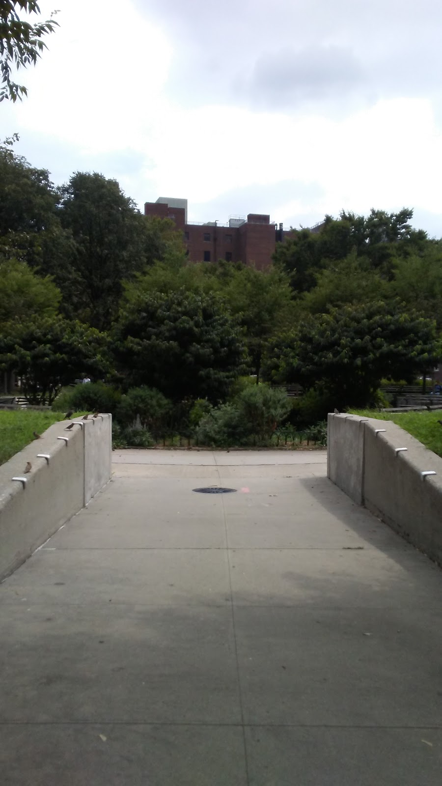 Photo of MacDonald Park in Forest Hills City, New York, United States - 4 Picture of Point of interest, Establishment, Park