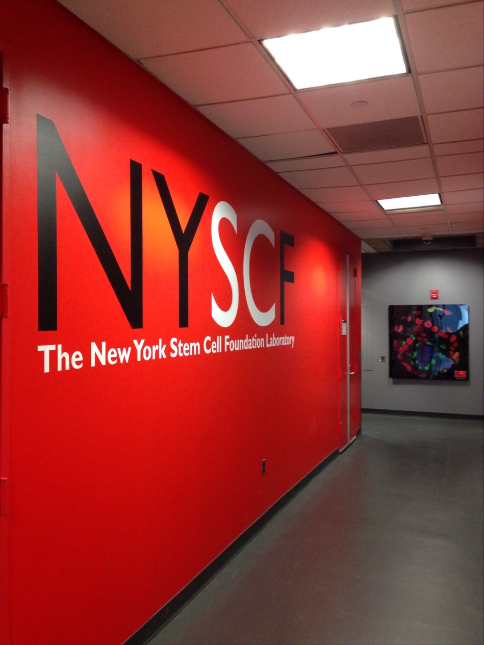 Photo of The New York Stem Cell Foundation Research Institute in New York City, New York, United States - 1 Picture of Point of interest, Establishment, Health