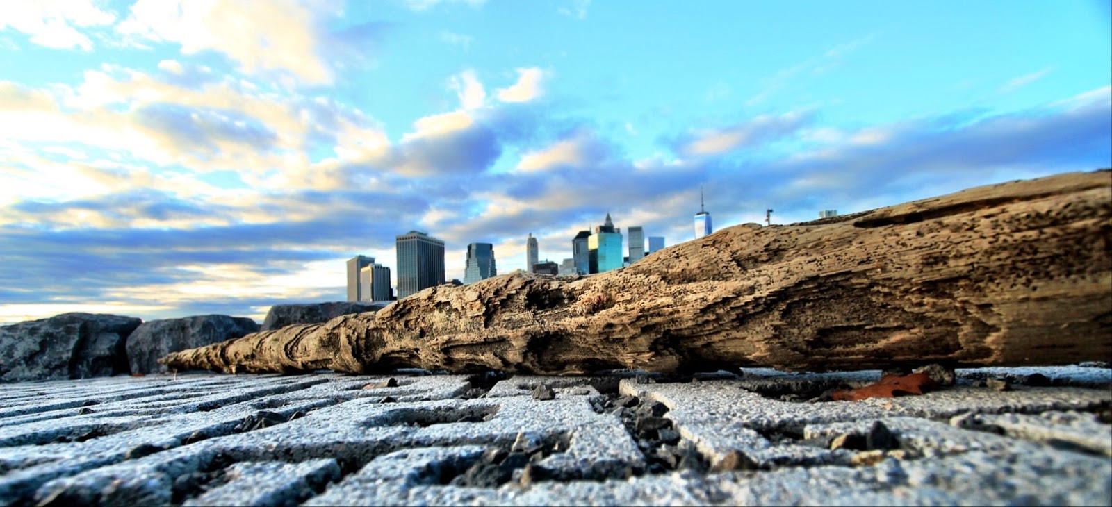 Photo of Pier 2 Roller Rink in Brooklyn City, New York, United States - 6 Picture of Point of interest, Establishment