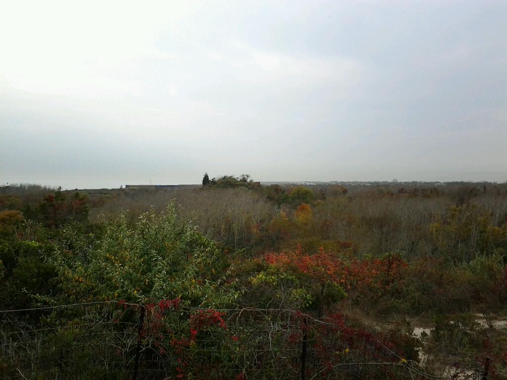 Photo of Fort Tilden in Breezy Point City, New York, United States - 10 Picture of Point of interest, Establishment