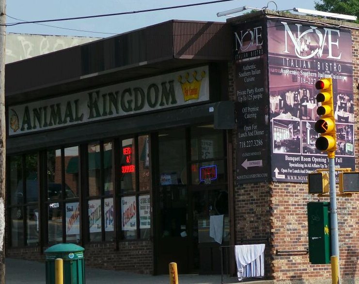 Photo of Animal Kingdom in Staten Island City, New York, United States - 1 Picture of Point of interest, Establishment, Store, Pet store