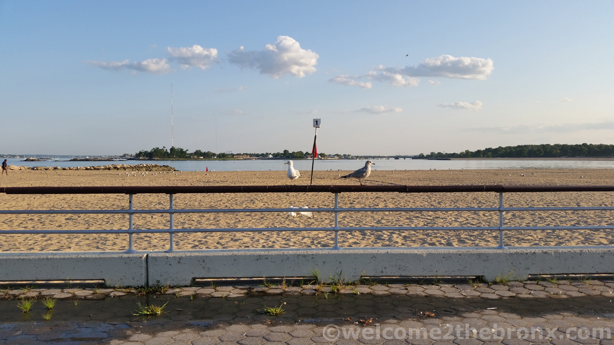 Photo of Pelham Bay Park in New York City, New York, United States - 2 Picture of Point of interest, Establishment, Park