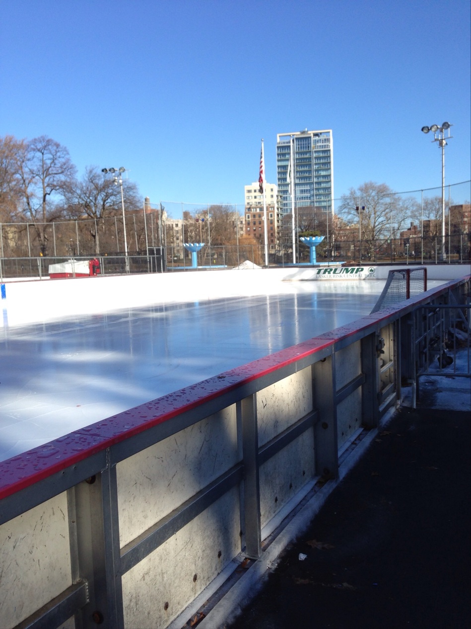Photo of Lasker Rink in New York City, New York, United States - 2 Picture of Point of interest, Establishment