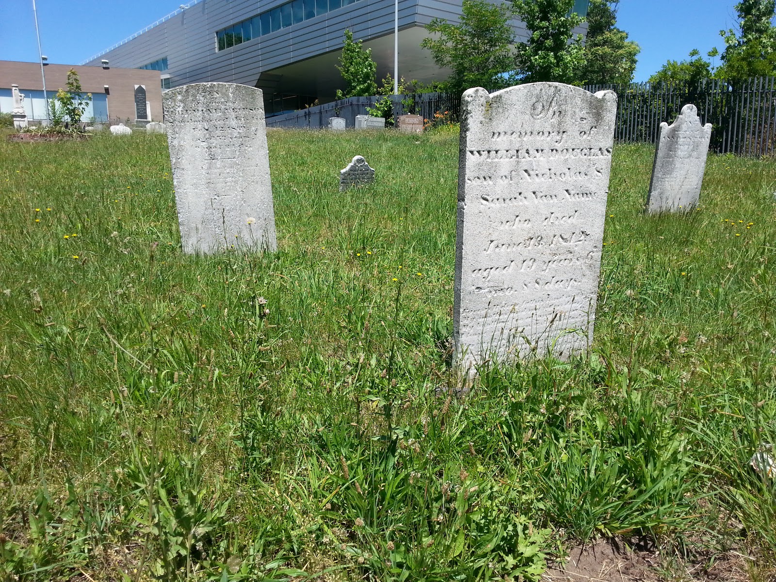 Photo of Hillside Cemetery in New York City, New York, United States - 3 Picture of Point of interest, Establishment, Cemetery