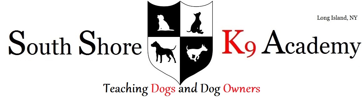 Photo of South Shore K9 Academy in Oceanside City, New York, United States - 3 Picture of Point of interest, Establishment