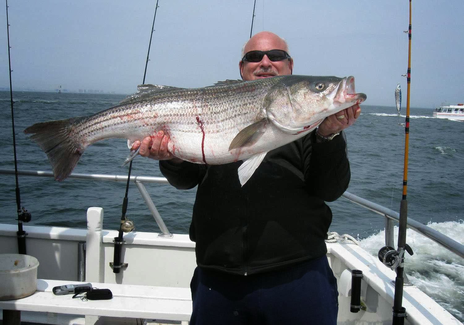 Photo of Dorothy B. Fishing Party Boat in Atlantic Highlands City, New Jersey, United States - 8 Picture of Point of interest, Establishment