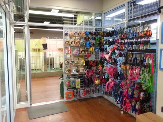 Photo of NY Puppy Club (Edgewater, NJ) in Edgewater City, New Jersey, United States - 8 Picture of Point of interest, Establishment, Store