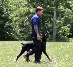 Photo of RCM Dog Training in Lincoln Park City, New Jersey, United States - 2 Picture of Point of interest, Establishment