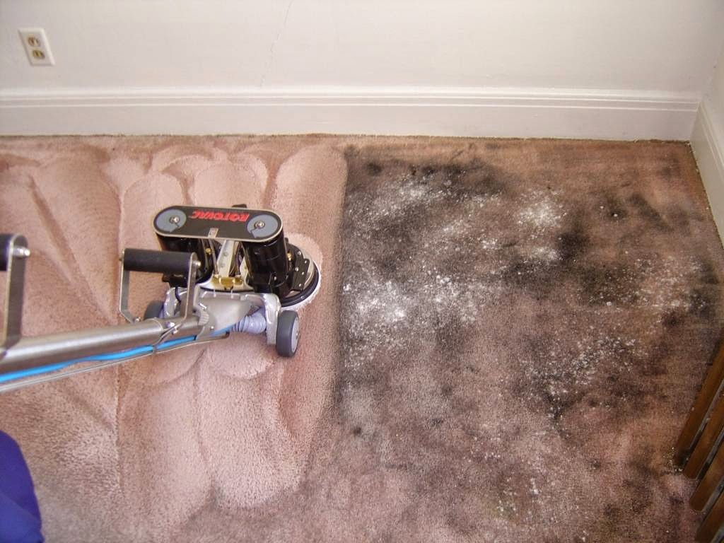 Photo of Preferred Carpet Cleaning in Howard Beach City, New York, United States - 2 Picture of Point of interest, Establishment, Laundry