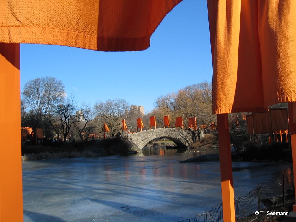 Photo of central park lagoon in New York City, New York, United States - 2 Picture of Point of interest, Establishment, Park