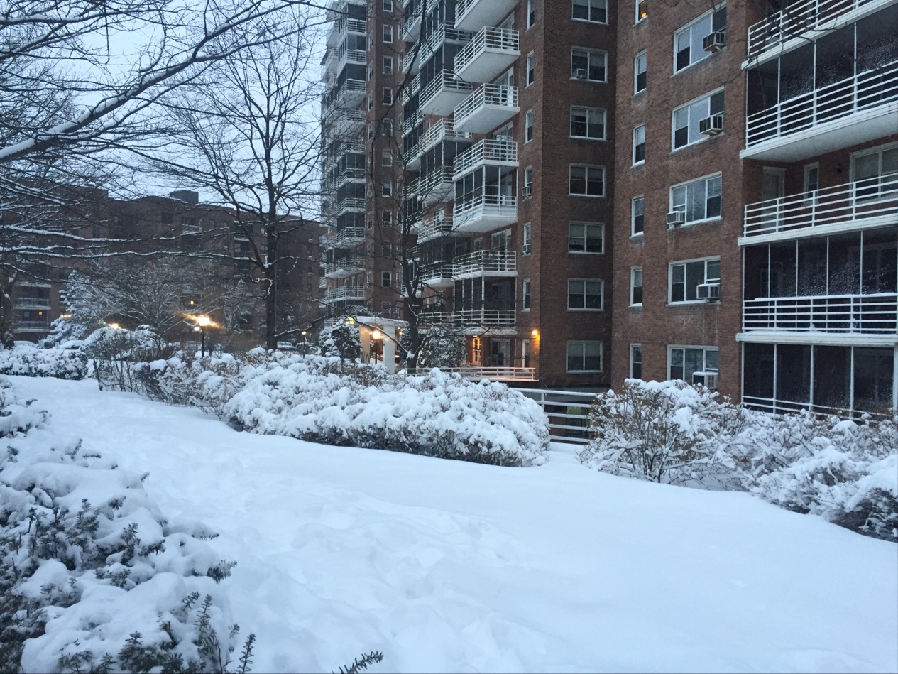 Photo of Parkway House in Bronx City, New York, United States - 1 Picture of Point of interest, Establishment