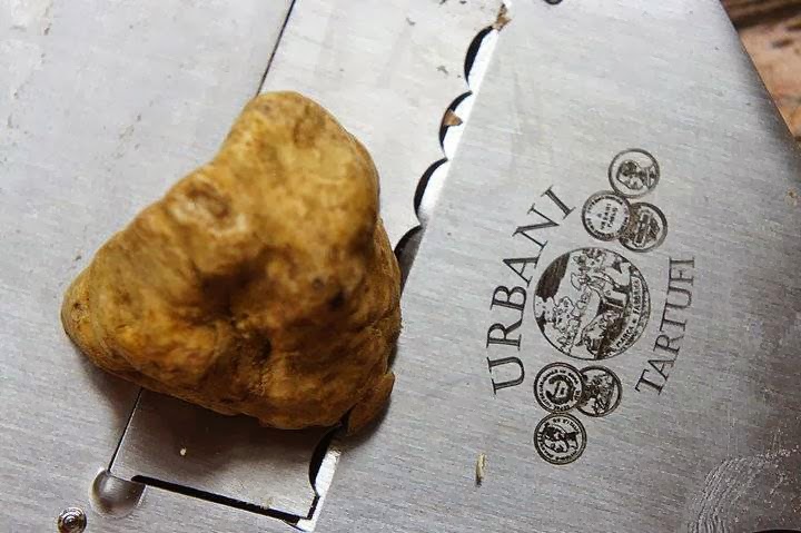 Photo of Urbani Truffles USA Inc in New York City, New York, United States - 6 Picture of Food, Point of interest, Establishment, Store, Grocery or supermarket