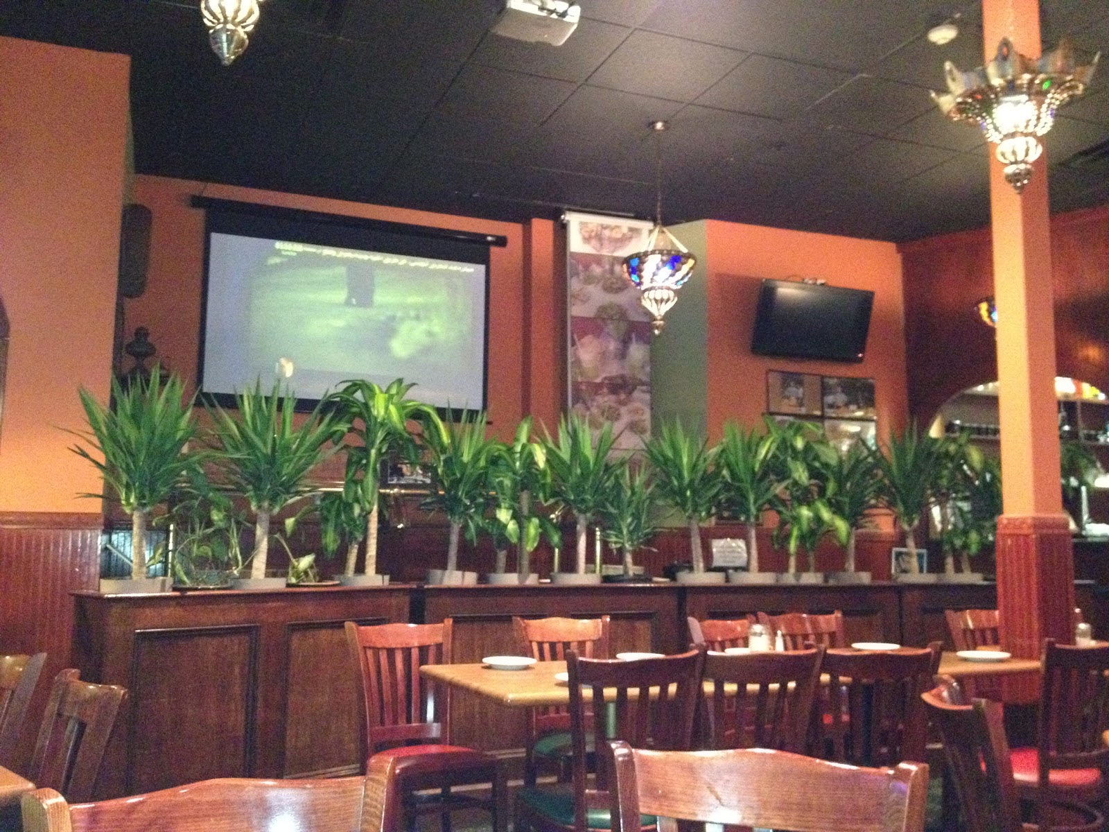 Photo of Al-Basha Restaurant in Paterson City, New Jersey, United States - 1 Picture of Restaurant, Food, Point of interest, Establishment