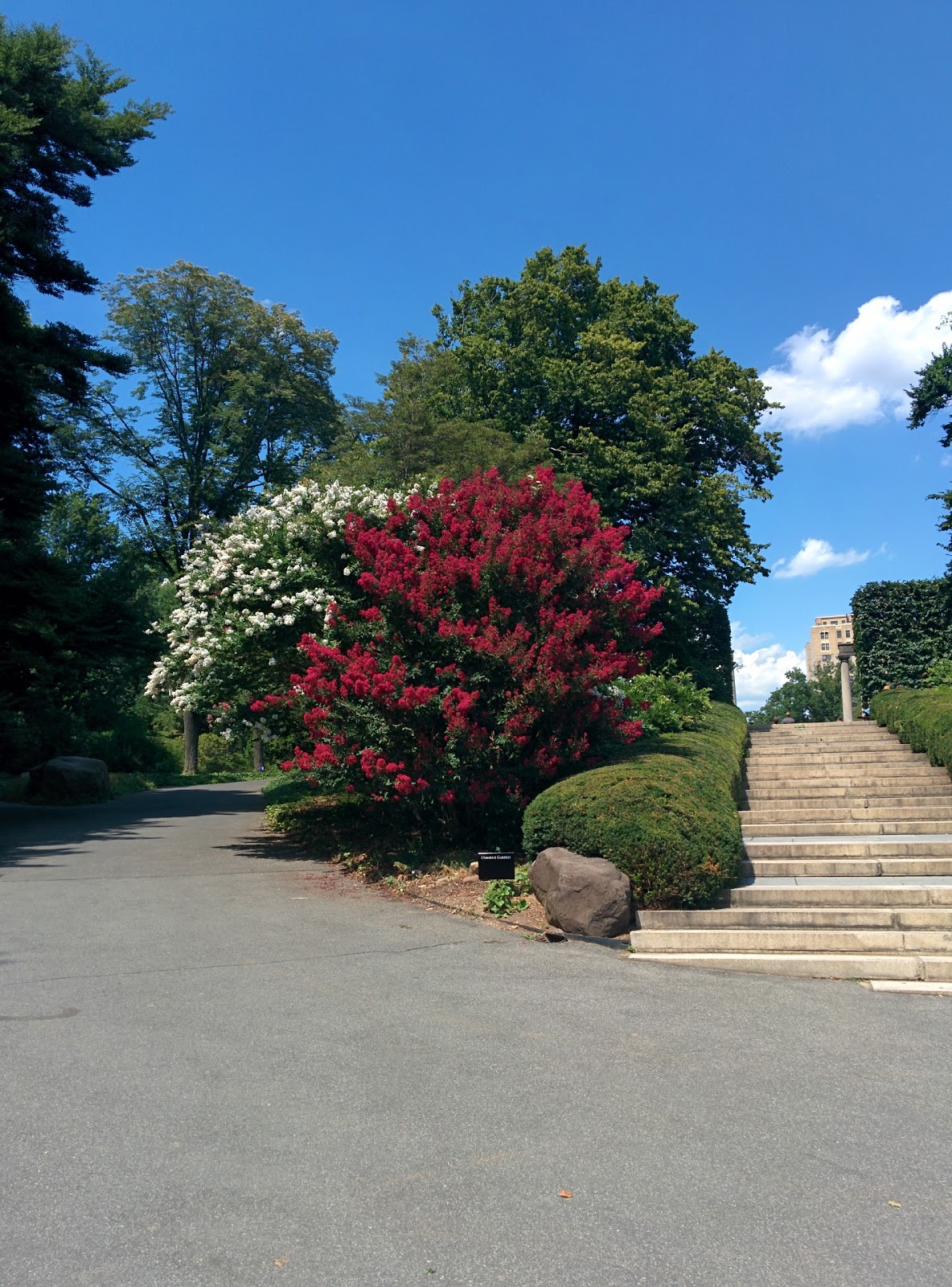 Photo of Osborne Garden in Brooklyn City, New York, United States - 3 Picture of Point of interest, Establishment, Park