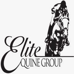 Photo of Elite Equine Group in Clifton City, New Jersey, United States - 2 Picture of Point of interest, Establishment