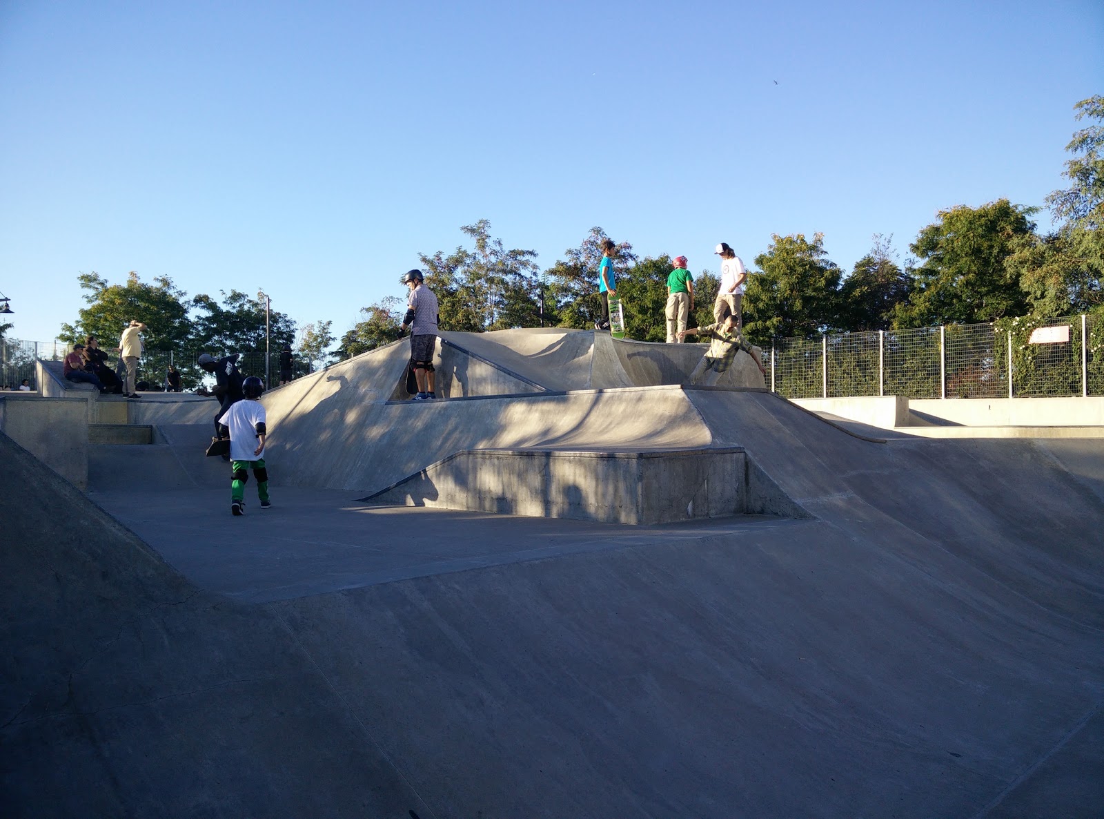 Photo of Pier 62 Skatepark in New York City, New York, United States - 2 Picture of Point of interest, Establishment