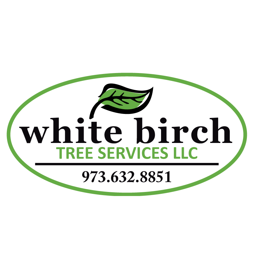 Photo of White Birch Tree Service in Livingston City, New Jersey, United States - 2 Picture of Point of interest, Establishment, General contractor