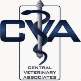 Photo of Central Veterinary Associates in Valley Stream City, New York, United States - 4 Picture of Point of interest, Establishment, Veterinary care