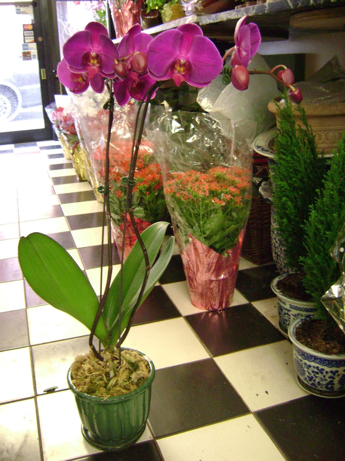 Photo of bell gift @ florist in Queens City, New York, United States - 5 Picture of Point of interest, Establishment, Store, Florist