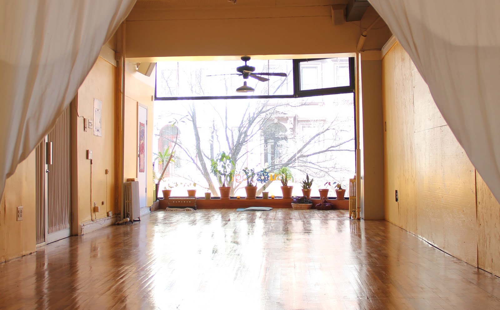 Photo of Dou Yoga in Kings County City, New York, United States - 2 Picture of Point of interest, Establishment, Health, Gym