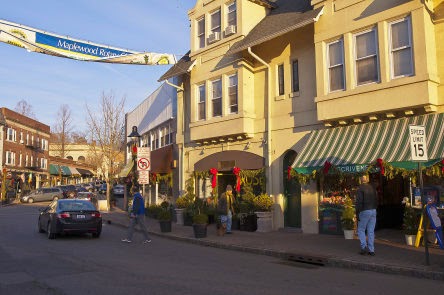 Photo of Scrivener's Toys & Collectibles in Maplewood City, New Jersey, United States - 3 Picture of Point of interest, Establishment, Store