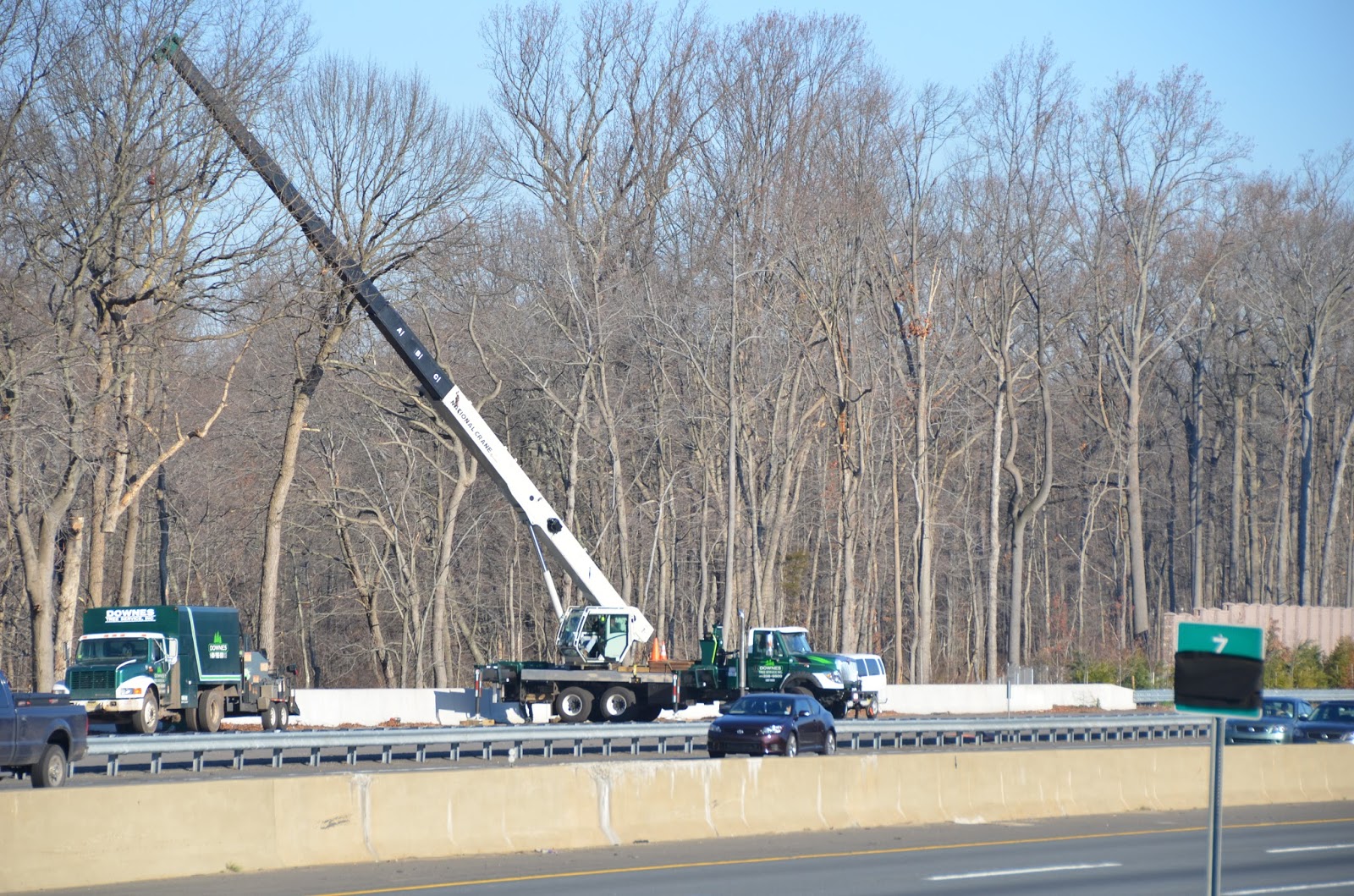 Photo of Downes Tree Service, Inc. in Hawthorne City, New Jersey, United States - 2 Picture of Point of interest, Establishment