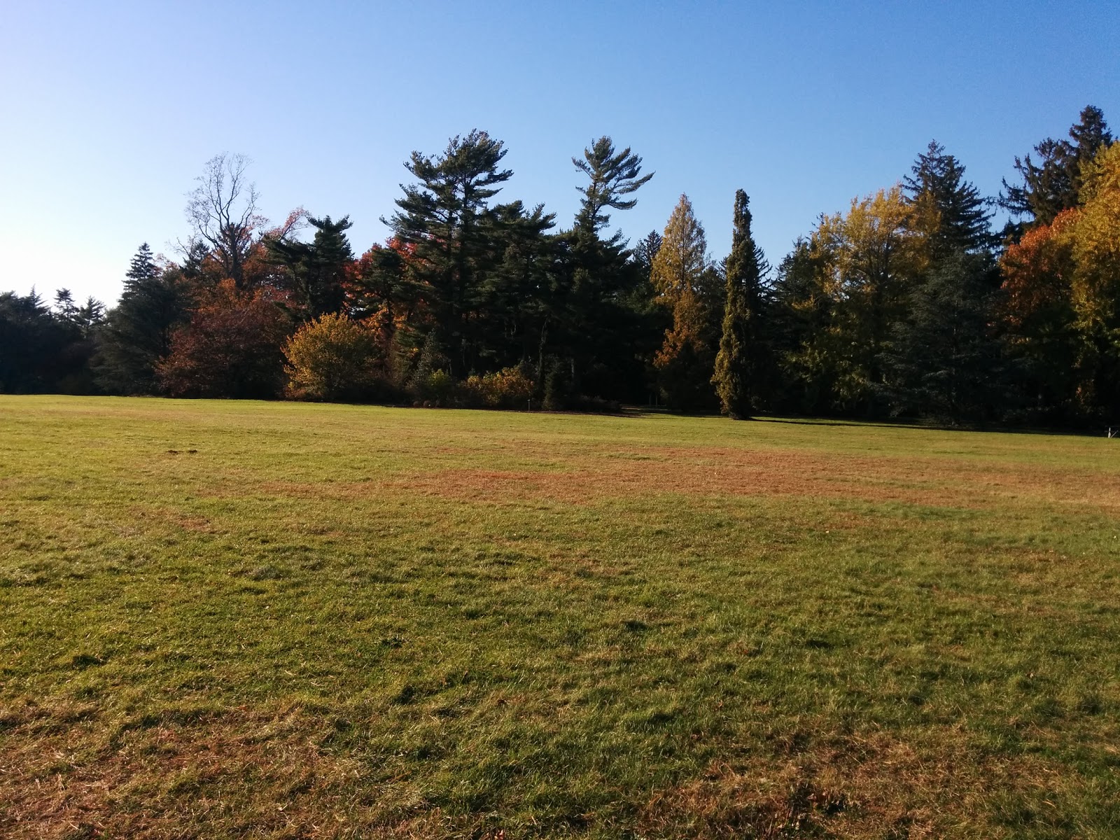 Photo of Planting Fields Arboretum State Historic Park in Oyster Bay City, New York, United States - 3 Picture of Point of interest, Establishment, Park