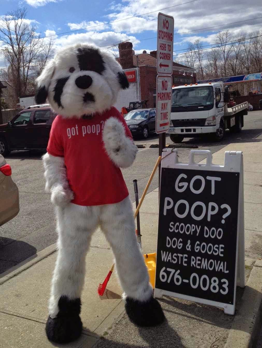 Photo of Scoopy Doo in Locust Valley City, New York, United States - 2 Picture of Point of interest, Establishment