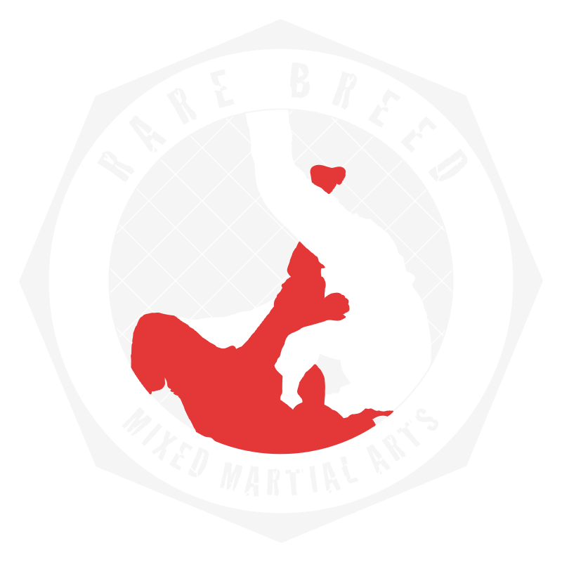 Photo of Rare Breed Mixed Martial Arts in Essex County City, New Jersey, United States - 8 Picture of Point of interest, Establishment, Health