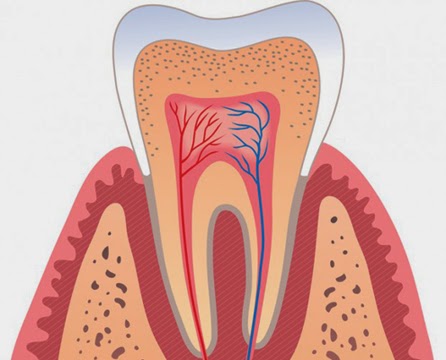 Photo of 2nd Ave Dental in New York City, New York, United States - 2 Picture of Point of interest, Establishment, Health, Dentist