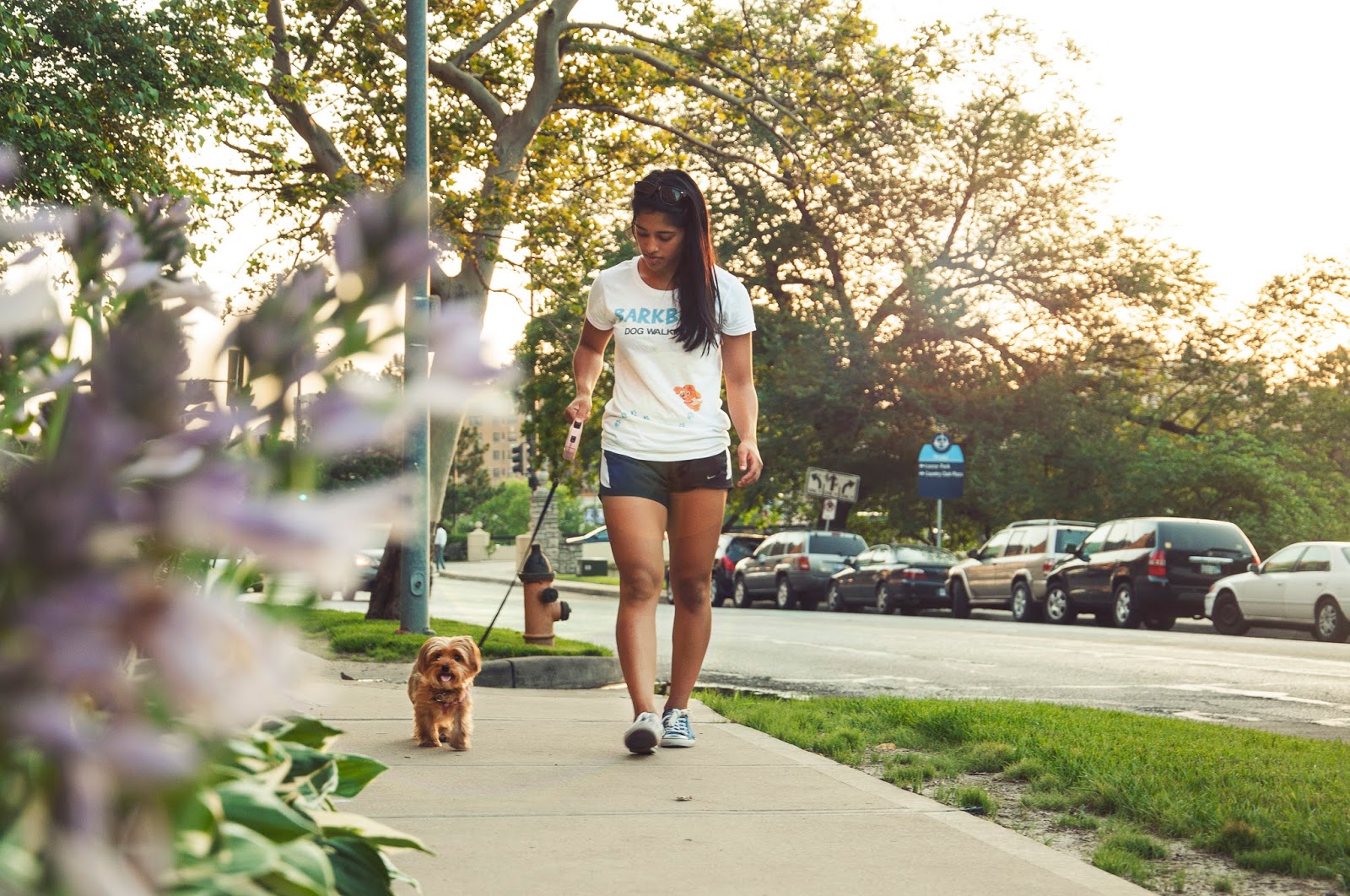 Photo of BarkBud Dog Walkers in New York City, New York, United States - 8 Picture of Point of interest, Establishment