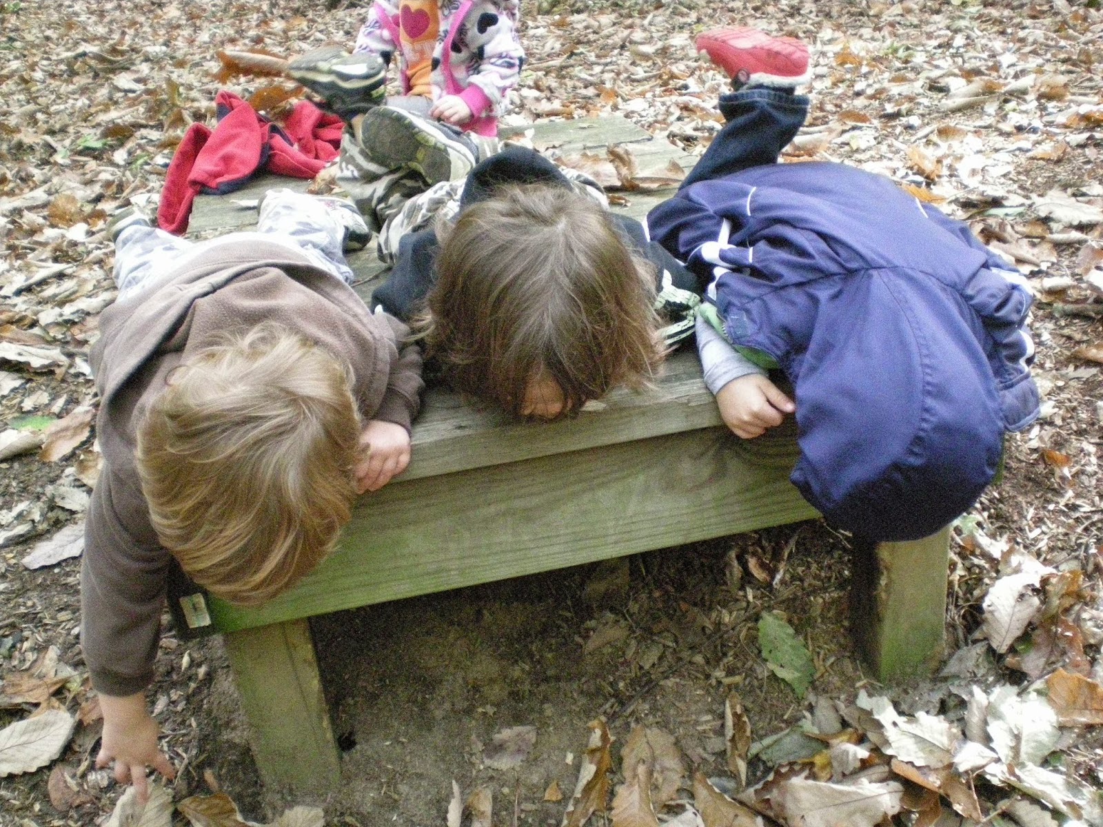 Photo of Westminster Nature Preschool in Middletown City, New Jersey, United States - 4 Picture of Point of interest, Establishment, School