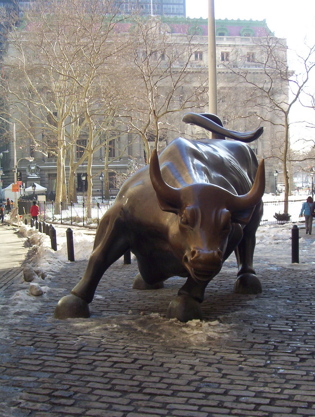 Photo of Charging Bull in New York City, New York, United States - 5 Picture of Point of interest, Establishment